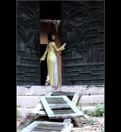 Áo dài vàng trang nhã áo dài vàng [P4XLQ5]