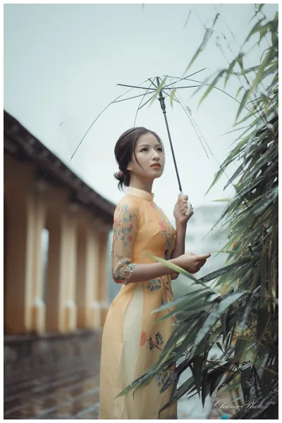 Áo dài vàng tuyển chọn áo dài vàng [ZVZSIY]