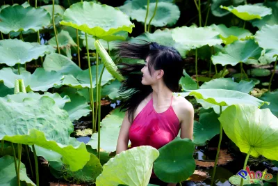 Áo Yếm Áo Yếm nổi bật [ZRBNTF]