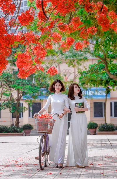 Áo dài trắng hoa phượng vẻ đẹp Việt Nam [CBUSEH]