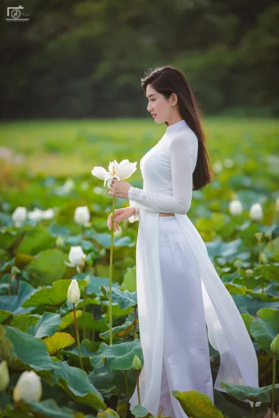 Áo dài trắng hoa sen quý phái [SHNQSM]