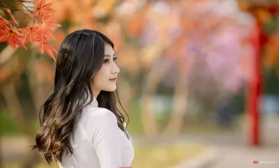 Đằm thắm áo dài trắng áo dài trắng [YXNPTP]