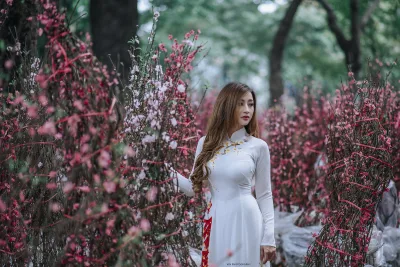 Thanh lịch áo dài trắng hoa [NVM0WI]