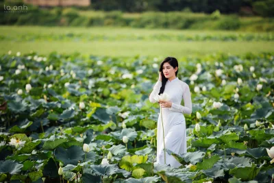 Áo dài trắng hoa sen mong manh [HVMAGO]