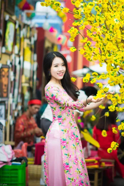 Rửa mắt với ảnh áo dài họa tiết cổ điển đón tết [C4NBHB]