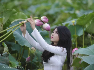 Thanh xuân áo dài trắng hoa sen [BLWSVO]