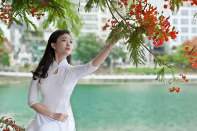 Hình nền áo dài trắng tinh khôi hoa phượng [FLGIDS]