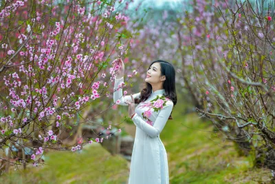 Áo dài trắng duyên dáng hoa đào [VUITLA]
