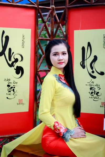 Áo dài vàng ảnh nền áo dài vàng thanh lịch [ITK0CW]