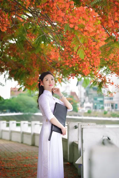 Áo dài trắng đậm chất Việt hoa phượng [GQDODO]