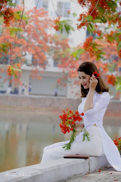 Truyền thống áo dài trắng rạng rỡ hoa phượng [LYWFBF]