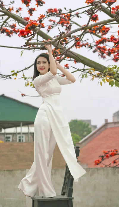 Vẻ đẹp áo dài áo dài trắng đằm thắm hoa phượng [NJTK51]
