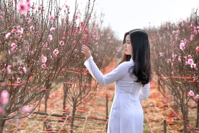 Áo dài trắng hoa đào rạng rỡ [UQIDI3]