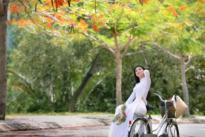 Áo dài trắng hoa phượng nét Việt [LDPOYB]