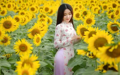 Vẻ đẹp Việt Nam áo dài hồng [LYIW64]
