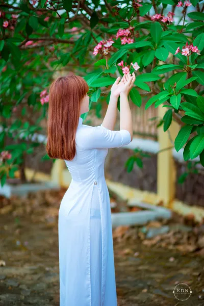 Yêu kiều áo dài trắng hoa phượng [HIQHWJ]