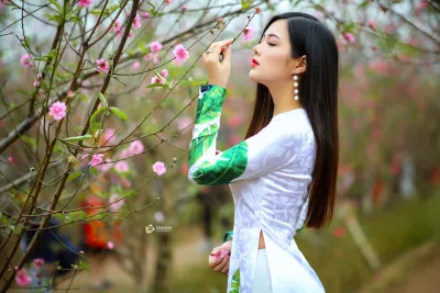 Quý phái áo dài trắng hoa đào [Q1QACD]