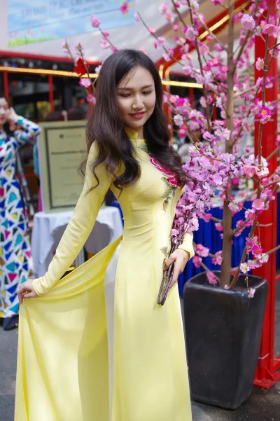 Áo dài vàng áo dài vàng vẻ đẹp Việt Nam [TEKBSW]