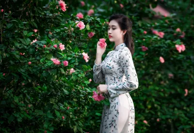 Album áo dài họa tiết duyên thầm góc ngang [IILZ5I]