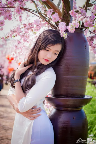 Ảnh nền áo dài trắng nổi bật hoa đào [Y2QF3F]