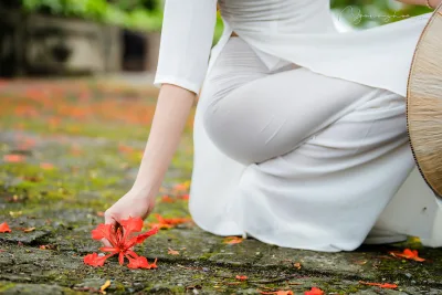 Nét đẹp áo dài áo dài trắng vẻ đẹp Việt Nam hoa phượng [QUTFMG]