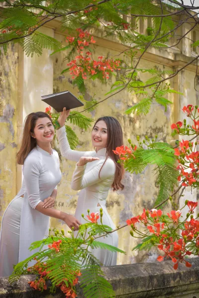 Rạng rỡ áo dài trắng hoa phượng [0RGKKZ]