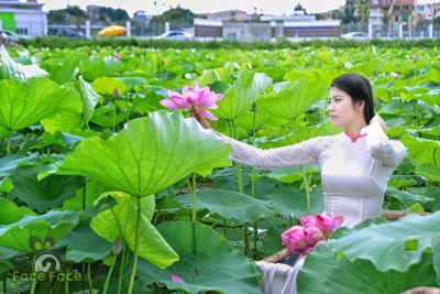 Gái xinh Áo Yếm rạng rỡ hoa sen [TOM04X]
