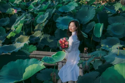 Áo dài trắng thanh lịch hoa sen [81VLMT]