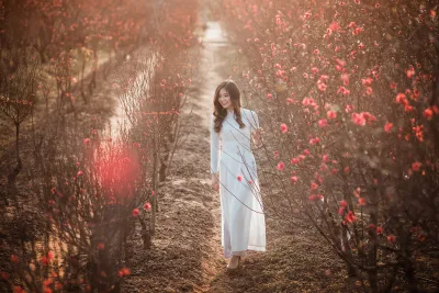 Vẻ đẹp áo dài trắng hài hòa hoa đào [UUE3TS]